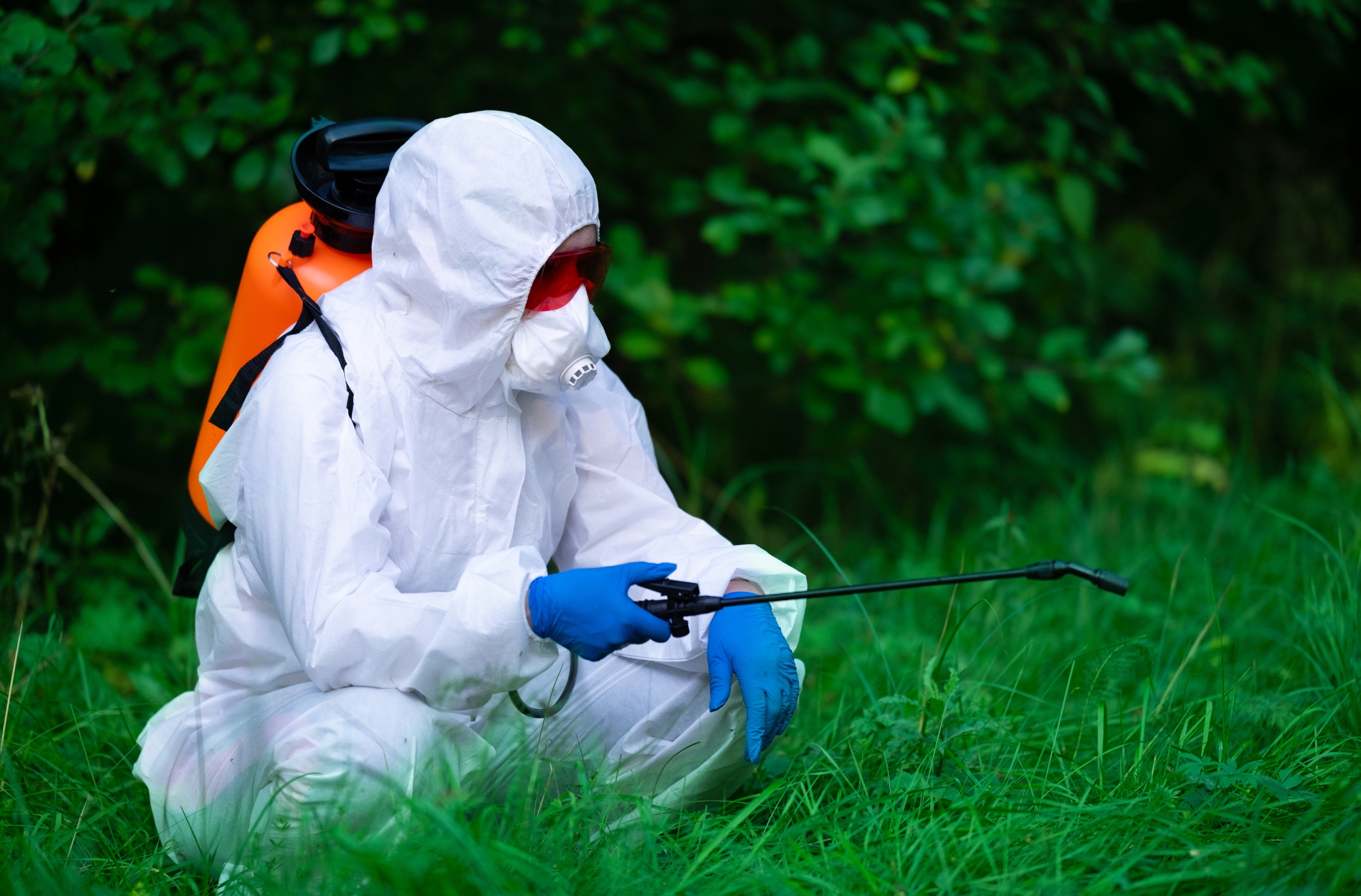 Empresa de Fumigación en Trujillo